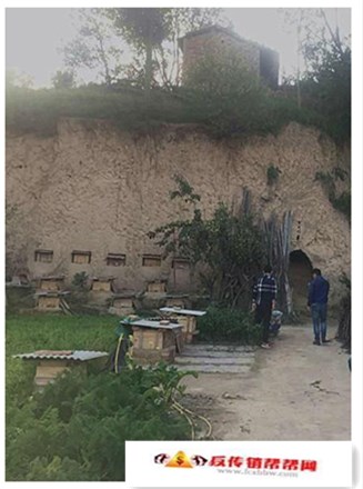【陷入传销获救后又成了山沟的“小媳妇”】少女离家身陷传销 投靠网友被带入深山做媳妇(图1)