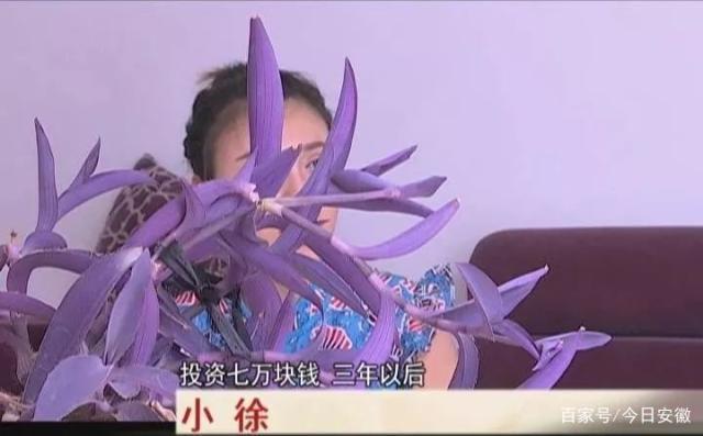 蚌埠一男子陷入传销，号称“国家机密”！投入七万收益可上千万(图1)