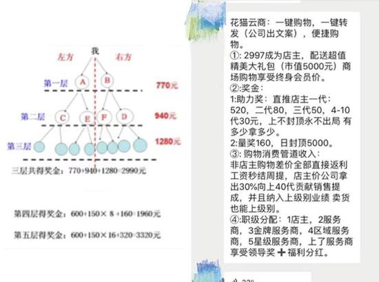 　经销商提供的绿叶奖金模式<左>及花猫云商<右>奖金模式
