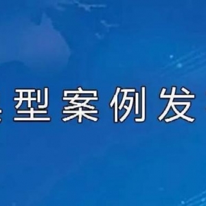 南宁市中院发布5起传销典型案例