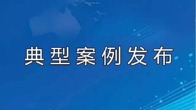 南宁市中院发布5起传销典型案例(图1)